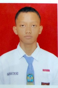 Mohamad Ervan Try Maulana