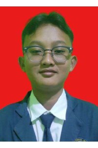 Muhammad Hafadz Hasnawijaya