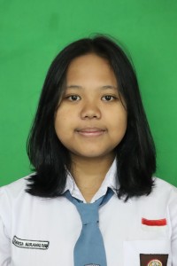 RAYSA NUR AMALIYAH