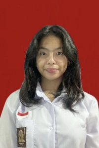 HIRA DIWYACITTA HEROESTYASA