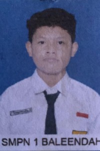 Fauzan Insanul Kamil K