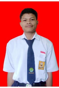 INSAN