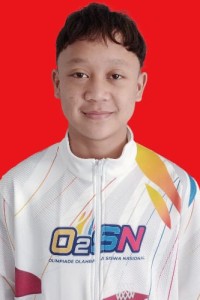 NAUFAL FIRDAUS SAPOETRA