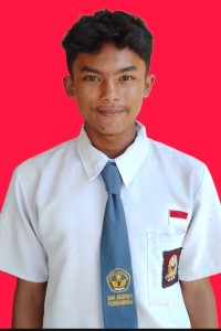 MUHAMAD N FAJAS