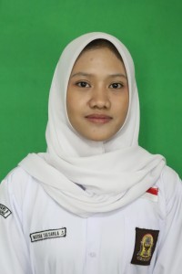 NAFISHA SALSABILA SAFITRI