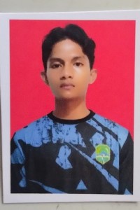 BAYU ADITYA HARSANTO 07080101