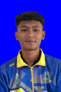 IBNU ARDIANTO