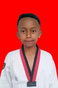 MUHAMMAD FAHMI ILYASHA