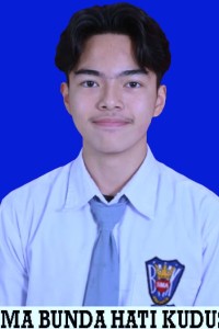 ALEXANDER APRILIRYAN NAYAKA PUTRA
