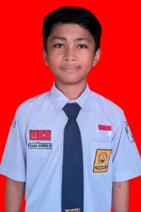 RAKA ALDIDO HARYADI