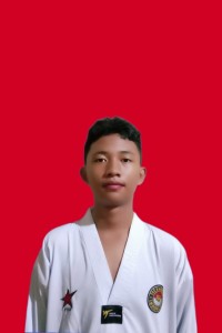 SATRIA ILHAM SUBANDI