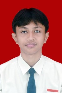 RAISA ALFI FARABI