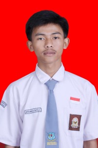 MOHAMAD SAIFUL AL AJIS