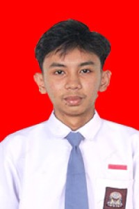 MUHAMMAD FERDY MUBARAK