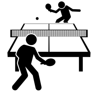 PARA TENIS MEJA